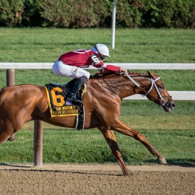 A person riding on a horse in a race.