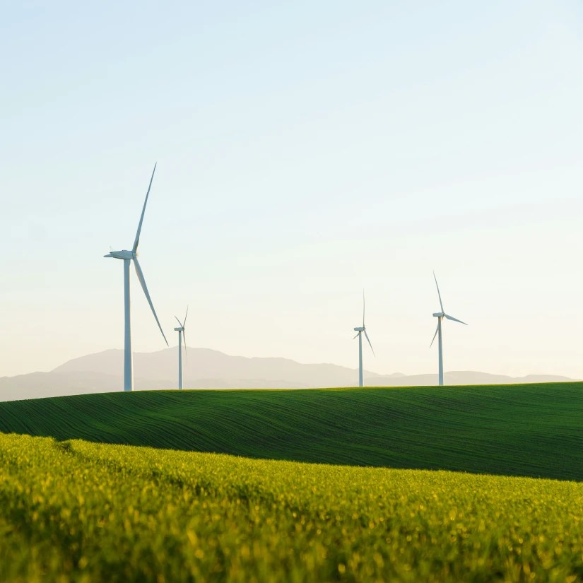 Windmills on a grassy plain
