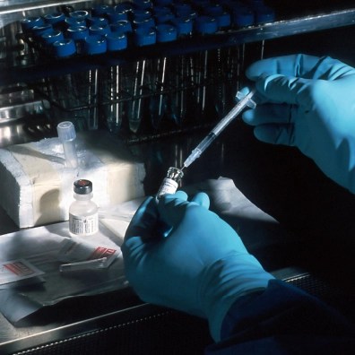 Someone working in a lab with gloves and inserting something into a test tube