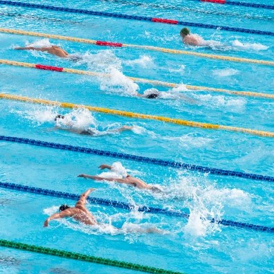 A group of swimmers doing laps in the pool