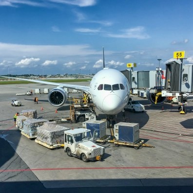 Plane connected to the gate at an airport