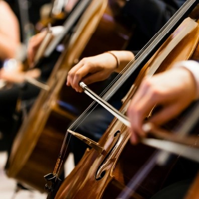 Closeup of symphony members playing the cello