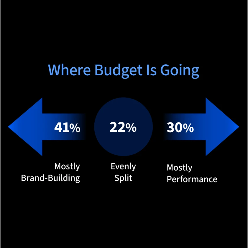 Graphic showing where marketing budget is going, brand building or performance.